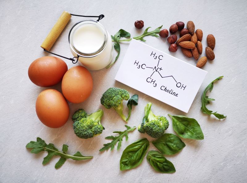 DHA và Choline trong dinh dưỡng trẻ nhỏ